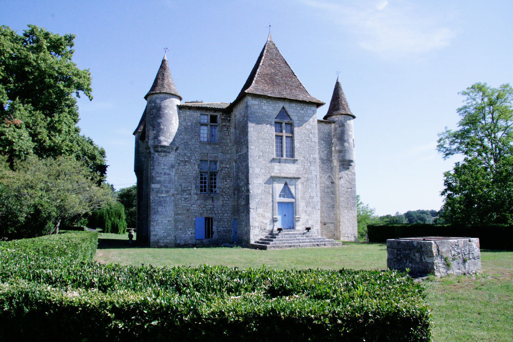 Gites Du Chateau De Panisseau Thénac Exterior foto